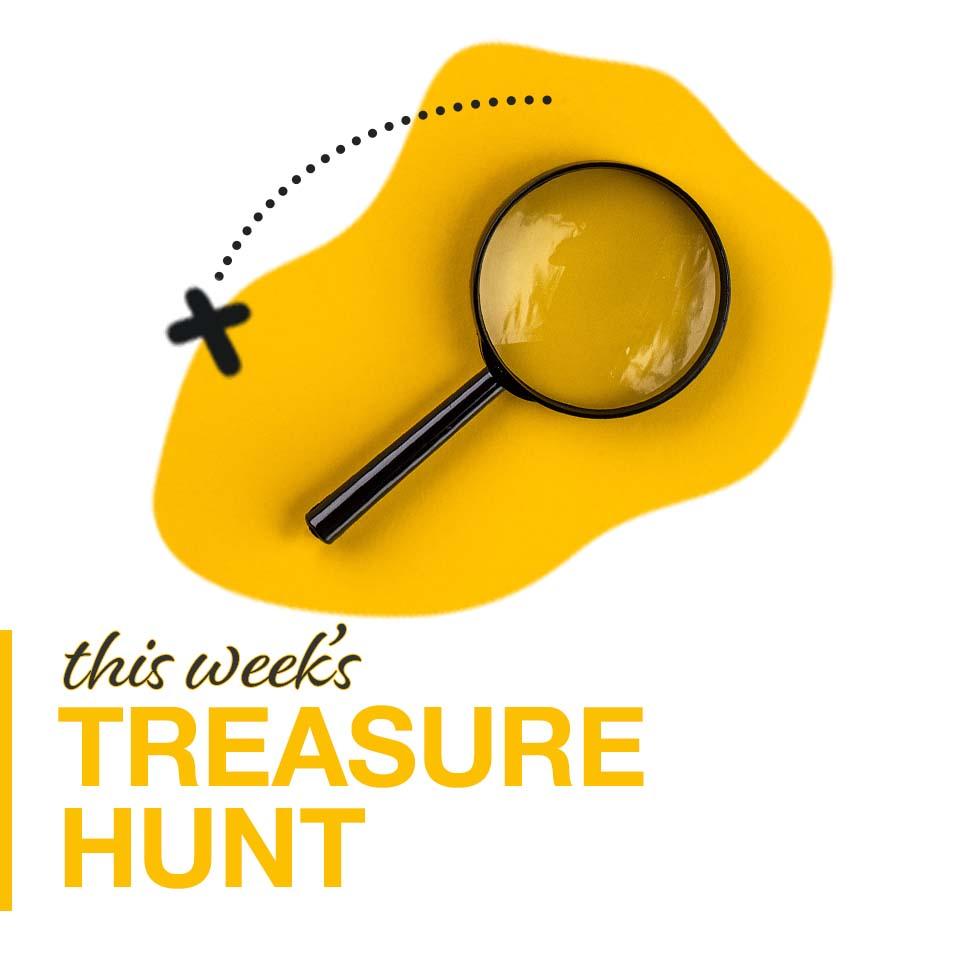 This Week's Treasure Hunt on Costco.com (opens in a new tab)